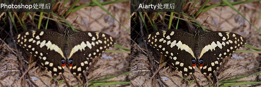 Photoshop 与 Aiarty效果对比