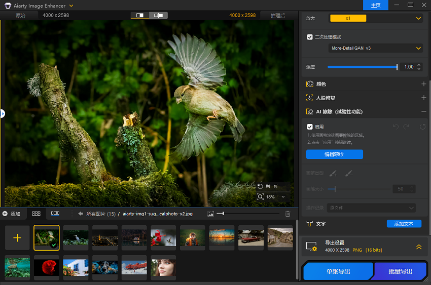 Aiarty Image Enhancer AI 擦除
