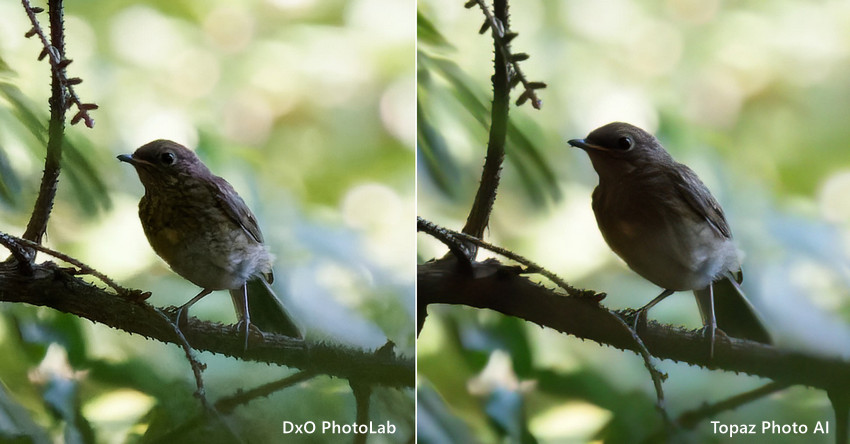 DxO PhotoLab im Test