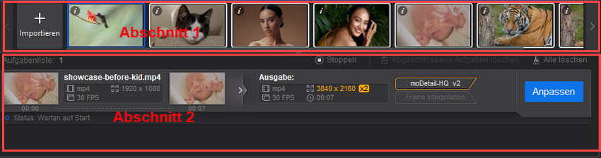 Aiarty Video Enhancer Guide