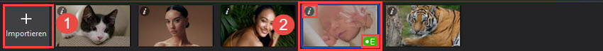 Aiarty Video Enhancer Guide