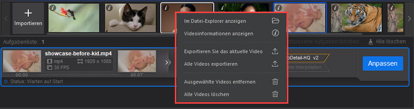 Aiarty Video Enhancer Guide