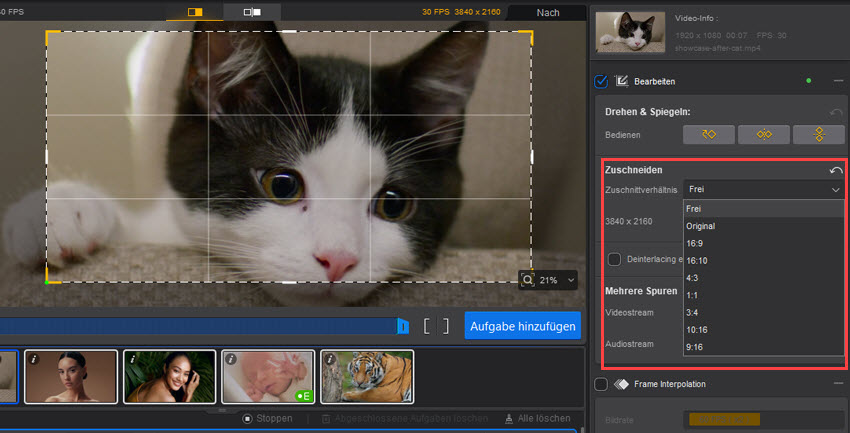 Aiarty Video Enhancer Guide