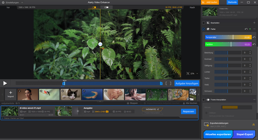 Aiarty Video Enhancer Guide