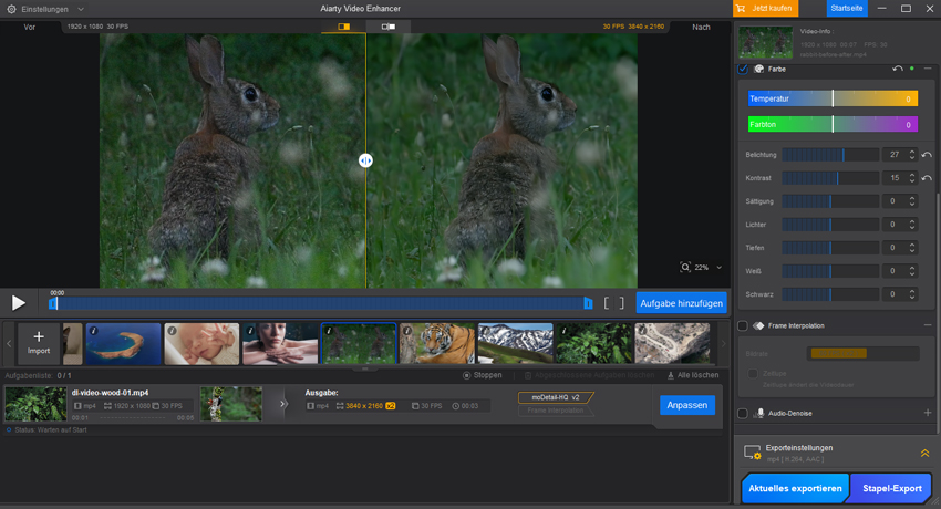 Aiarty Video Enhancer Guide