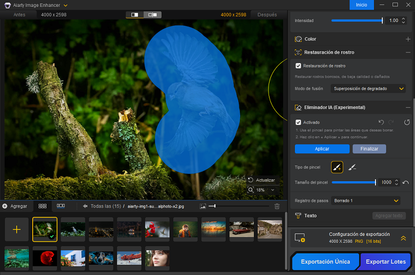 Aiarty Image Enhancer Eliminador IA