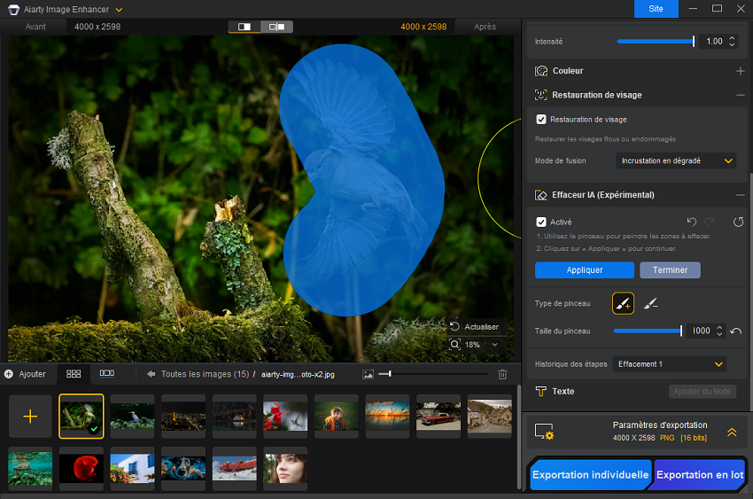 Aiarty Image Enhancer Effaceur IA