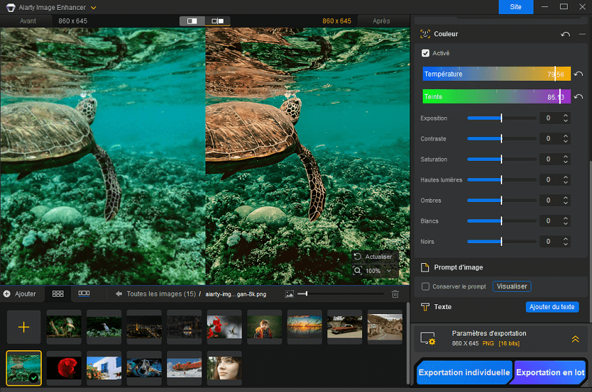 Correction des couleurs de l'amélioration d'image Aiarty