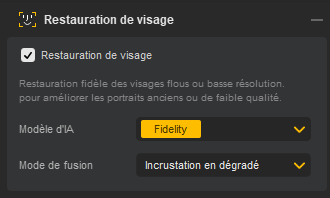 Activer la Restauration de Visage Aiarty Image Enhancer