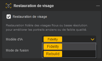 Modèles de restauration de visage Aiarty Image Enhancer