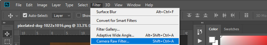 Select Camera Raw
