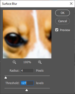 Surface blur dialog