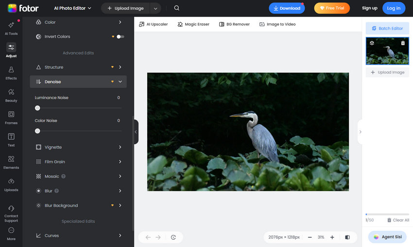 Remove Grain from Photo Online Using Fotor