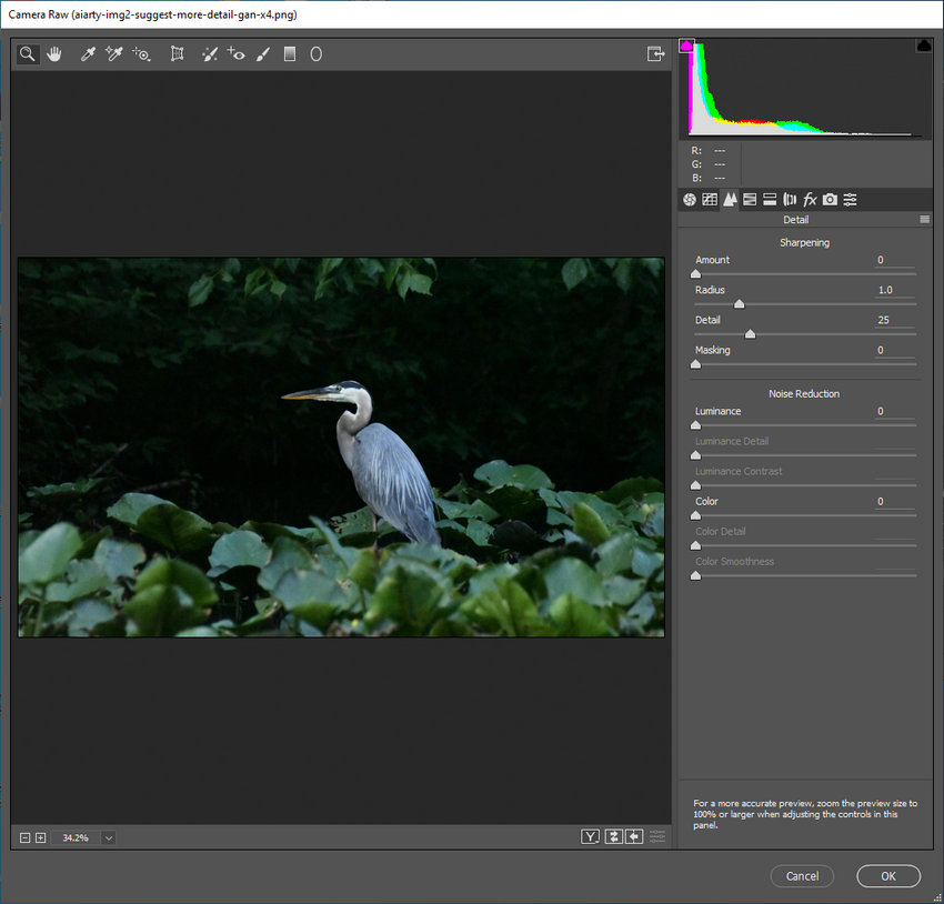 Camera Raw Detail panel