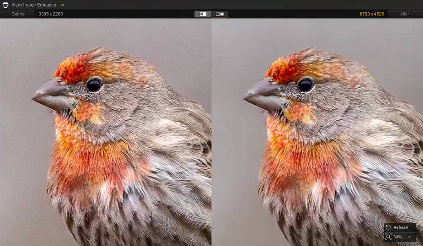 Denoise Image Aiarty Image Enhancer