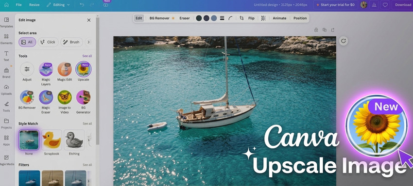 canva image upscaler 