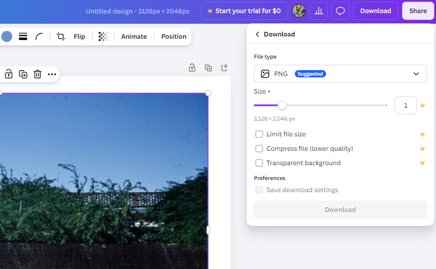 canva upscale image downloald