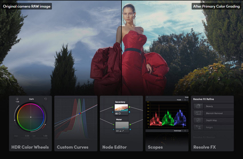 davinci resolve photo vs lightroom