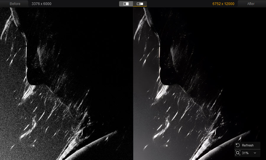 upscale photo to poster size test