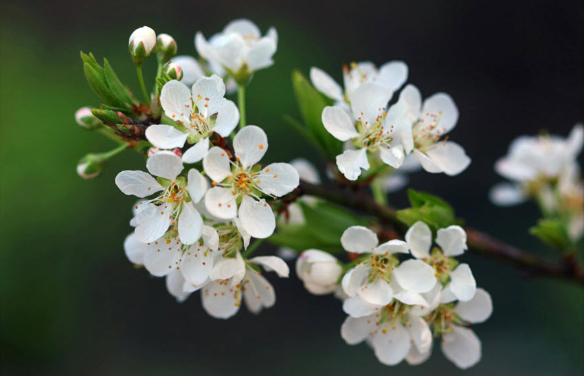 enlarge test source photo