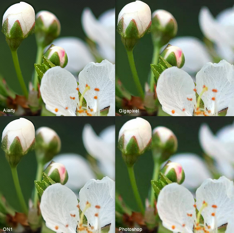 best photo enlargement software test 