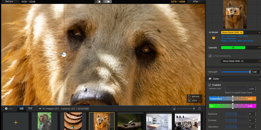 Enhance Wildlife Photos in Aiarty