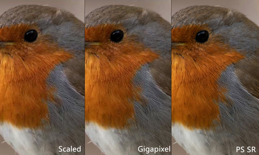 Topaz Gigapixel AI vs Photoshop 2x upscaling quality