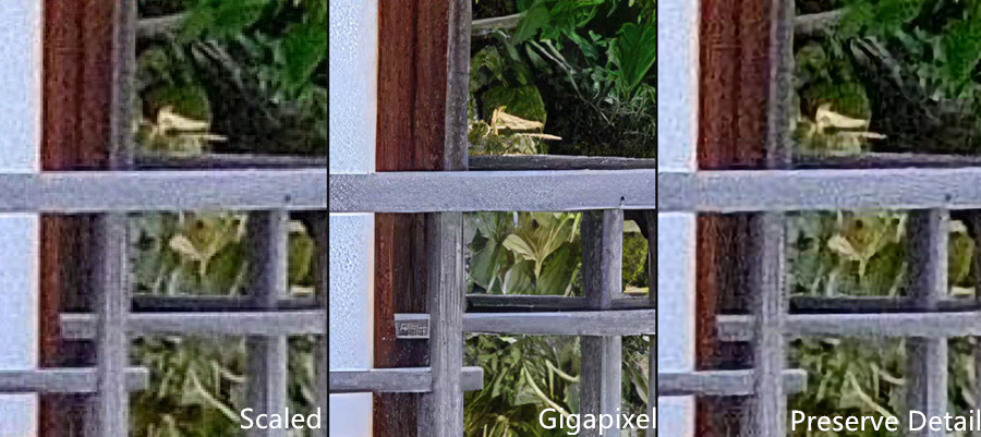Topaz Gigapixel AI vs Photoshop 4x upscaled image