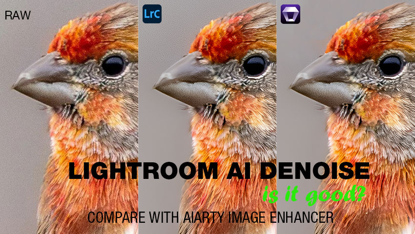 Lightroom AI Denoise vs Aiarty Image Enhancer