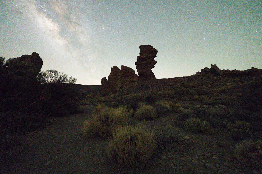 Topaz noise reduction test photo