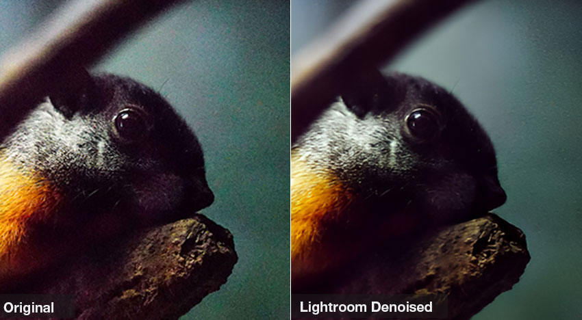 Lightrrom denoise result