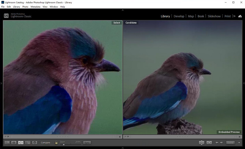 Lightroom Super Resolution
