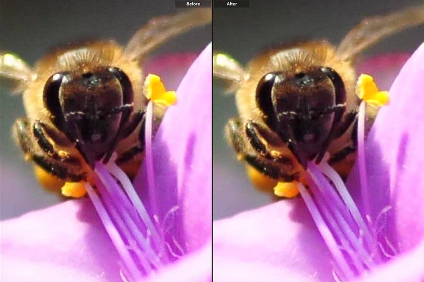 Lightroom Super Resolution