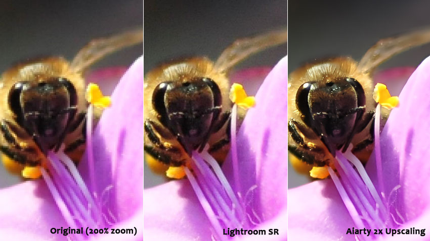 Real results Lightroom vs Aiarty Image Enhancer