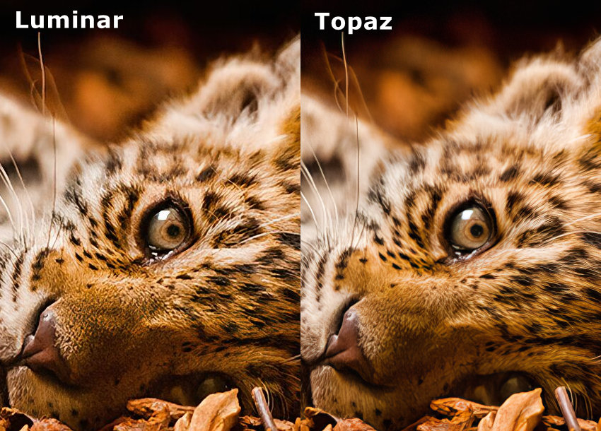 Compare Luminar vs Topaz Photo upscaling quality