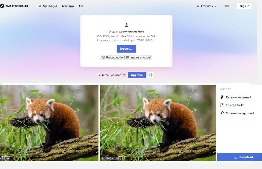 Free online photo enhancer - icons8 Smart Upscaler