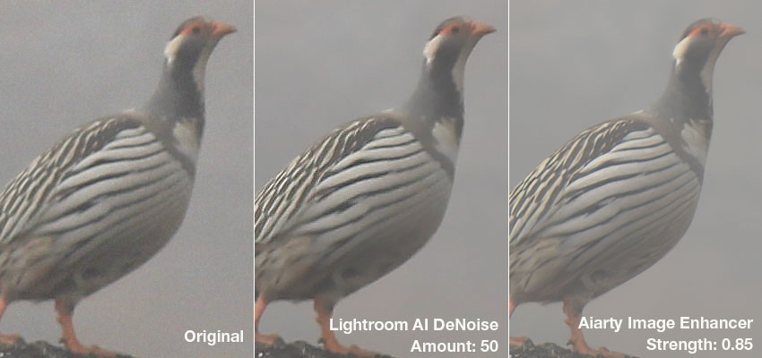 lightroom denoise vs Aiarty Image Enhancer denoise