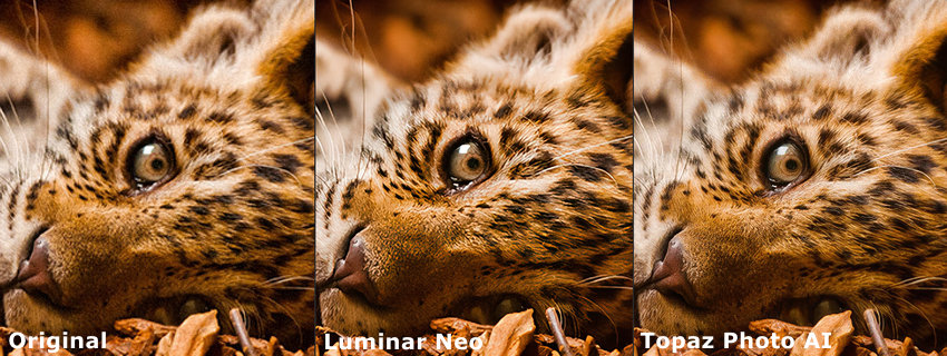 Original vs Luminar Neo vs Topaz Photo