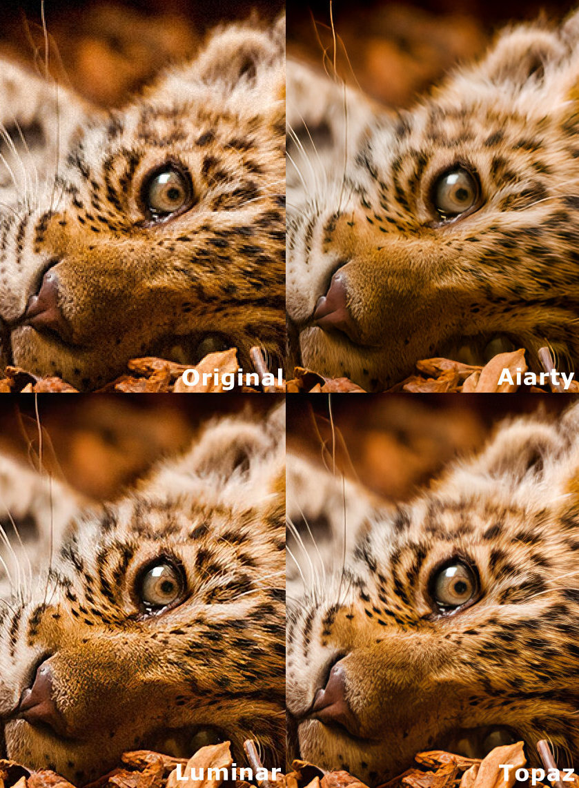 Luminar vs Topaz vs Aiarty