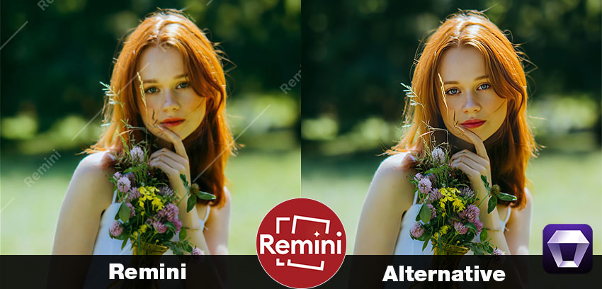 Remini Alternative