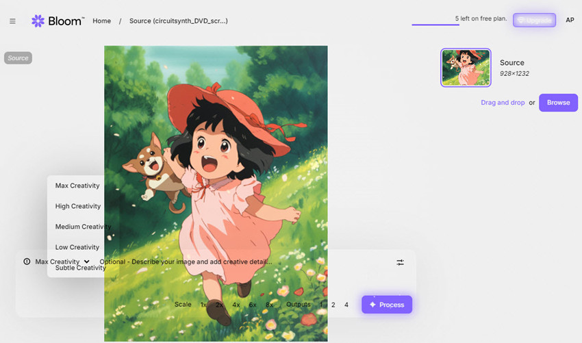 How to use Topaz Bloom?