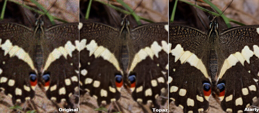 Topaz noise reduction vs Aiarty
