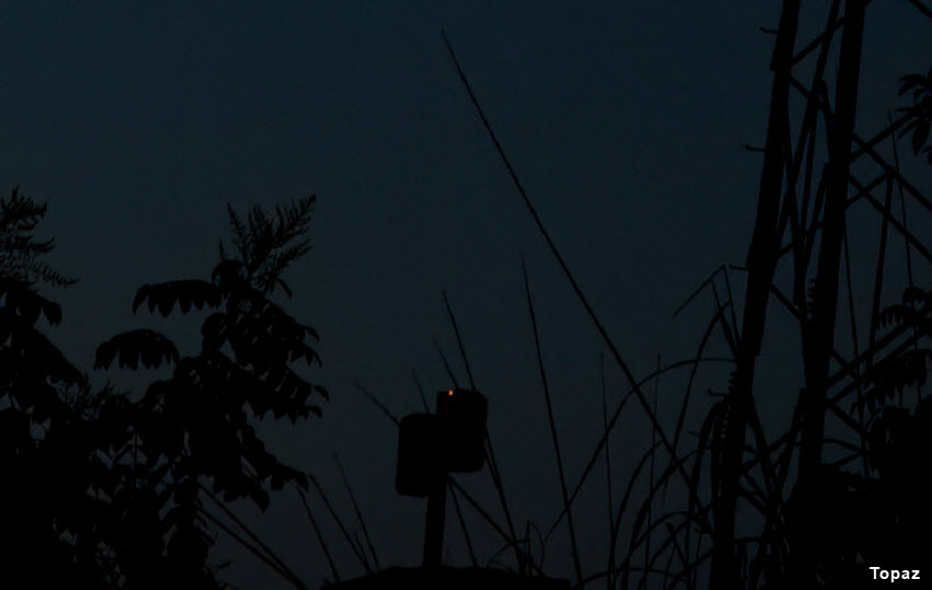 Topaz vs Lightroom AI denoising test 2