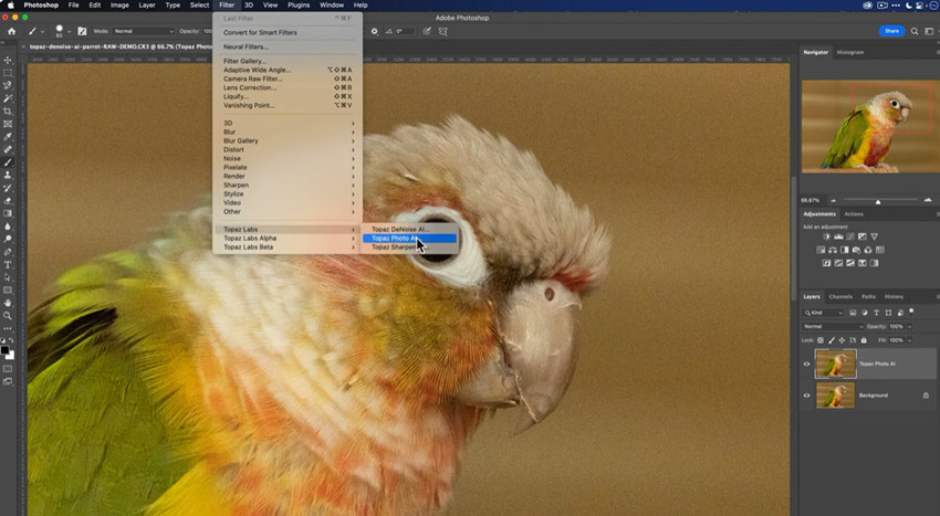 Where is Topaz plugin in Photoshop