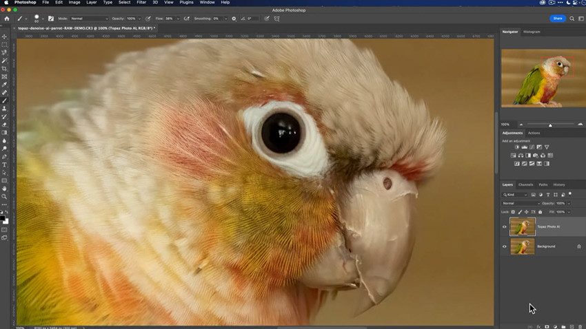 Topaz enhanced image in Photoshop