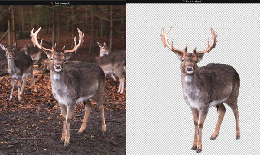 Aiarty Remove Background Complex Scene