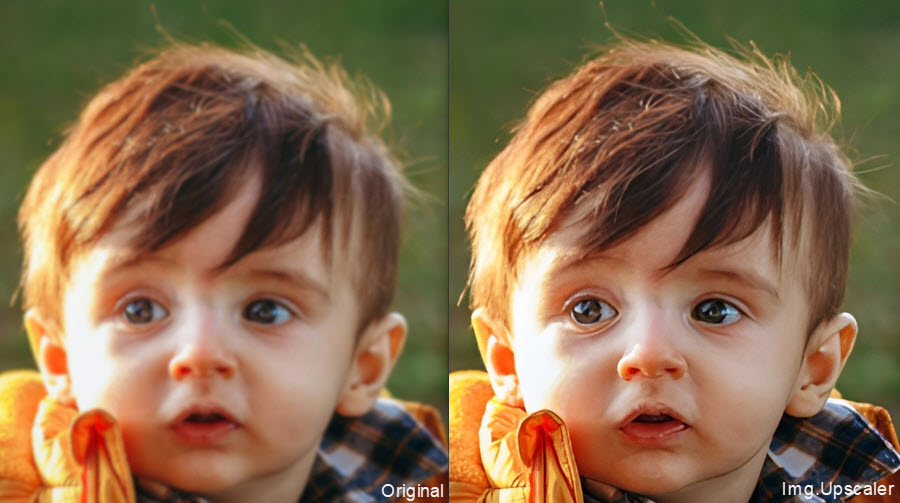 best Ai image upscaler online -Img.Upscaler  