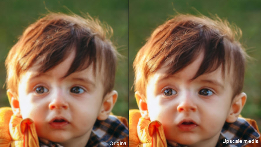 best Ai image upscaler online Upscale.media