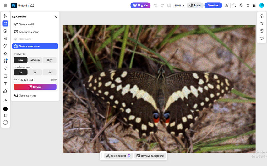 Increase resolution in Photoshop online with Generative Upscale