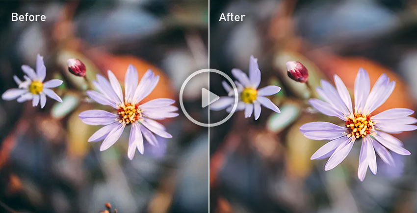 Fixing Washed-Out or Dull Colors